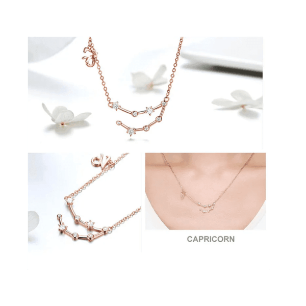 capricorn