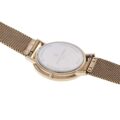 Часовник Pierre Cardin CBV.1013