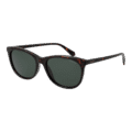 Оригинални Women слънчеви очила Polaroid Sunglasses PLD 4161/S 086UC 55